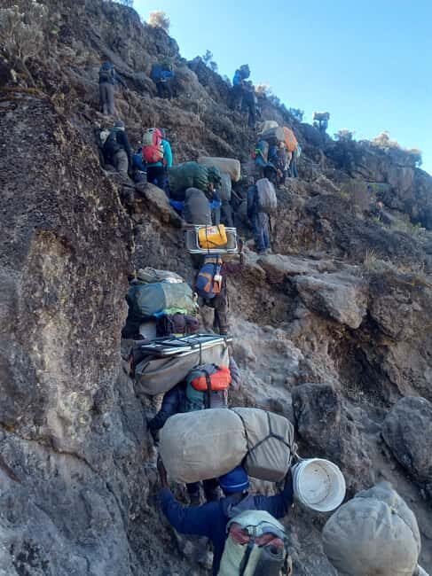 1 day Kilimanjaro Hike Marangu Route from Arusha or Moshi. - Who Should Consider This Tour?