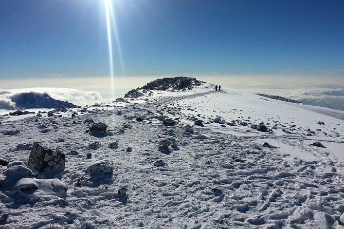 1 Day Kilimanjaro Hiking - Machame Route - Who Should Consider This Tour?