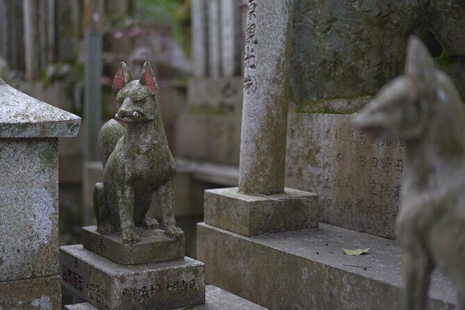 1-Day Kyoto and Nara Highlights Day Trip with a Private Car - Who Should Consider This Tour?