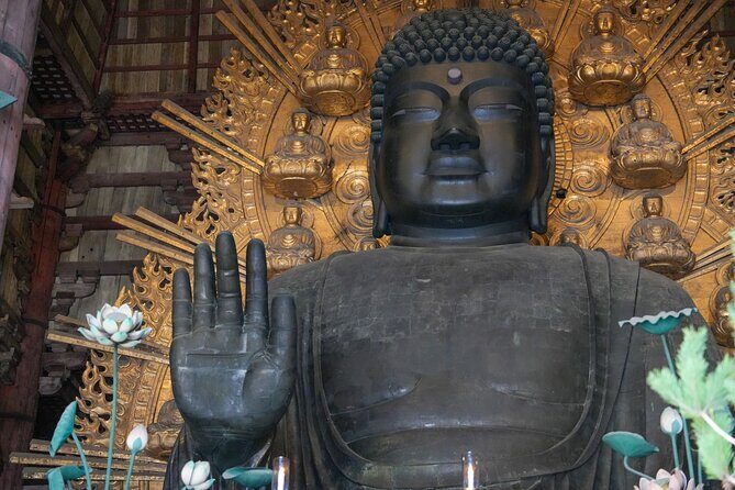 1-Day Kyoto and Nara Highlights Day Trip with a Private Car - Final Thoughts