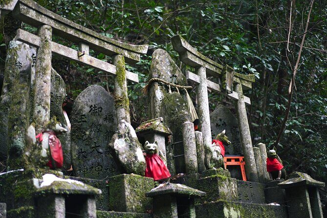 1-Day Kyoto and Nara Highlights Day Trip with a Private Car - FAQ