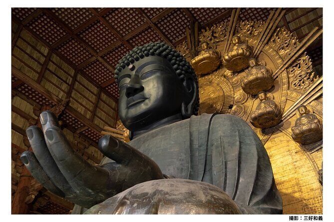 1-Day Kyoto Uji & Nara Tour with Tea Ceremony - Key Points