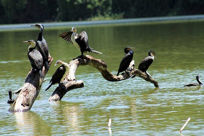 1 Day Lake Duluti Hiking and Canoeing - FAQ