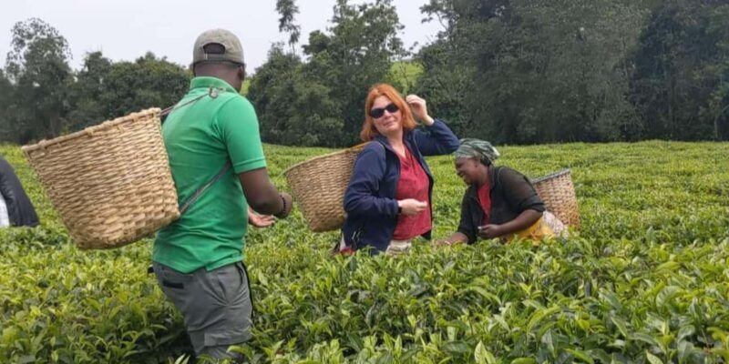 1-Day lake Kivu relaxation tour - Practical Tips for a Smooth Experience