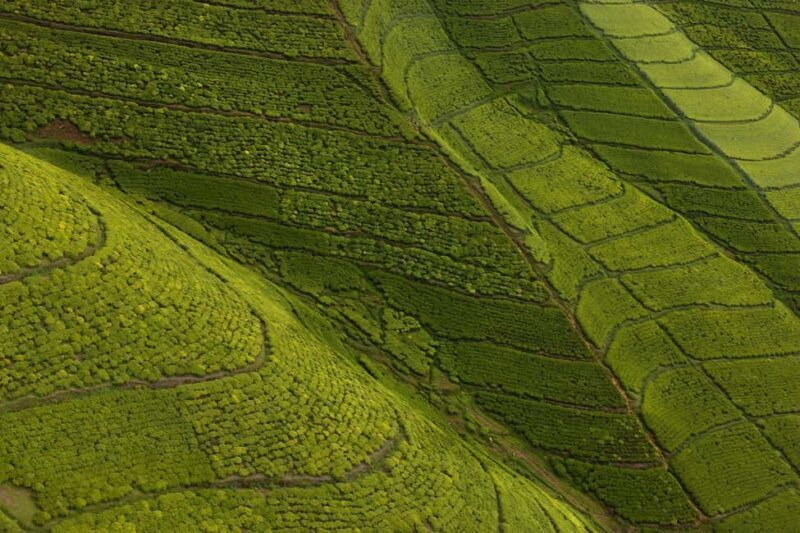 1-Day lake Kivu relaxation tour - Additional Information