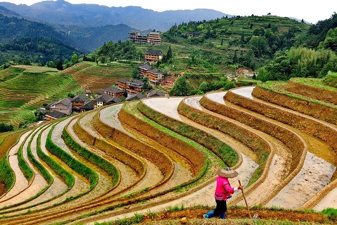 1-Day Longji Rice Terraces hiking tour from Guilin/Yangshuo hotel - Key Points