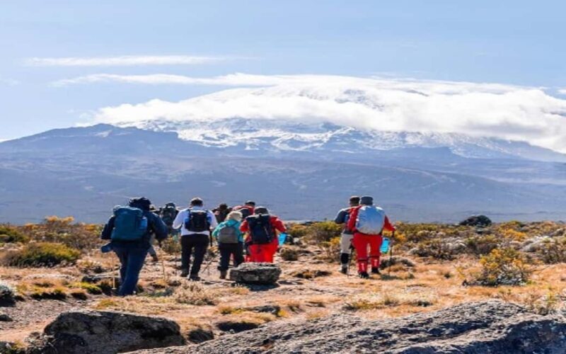 1-Day Marangu Hike Route Joining Group From Arusha/Moshi - The Sum Up