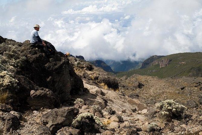 1 Day Marangu Route Climbing Kilimanjaro - Key Points