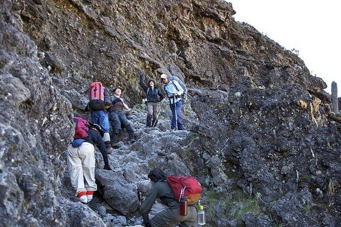 1 Day Marangu Route Climbing Kilimanjaro - The Experience: What to Expect from the 1 Day Marangu Route Climb