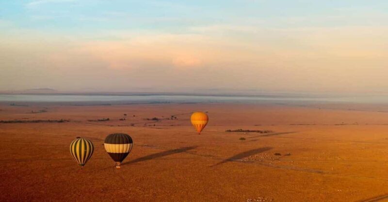 1 Day Masai Mara Game Drive - Exploring the Masai Mara in a Day