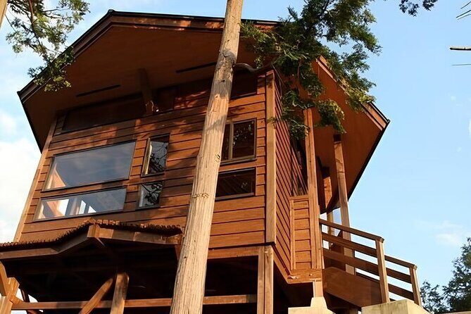 1 Day Matcha Farm Tour with Lunch and Bicycle Rental in Kyoto - The Value of the Experience