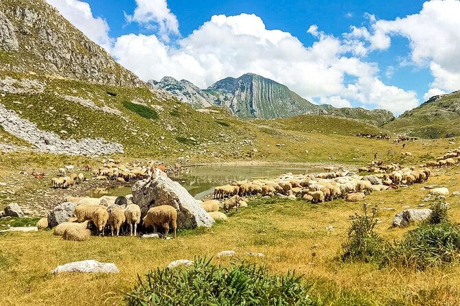1-day-montenegro-hiking-tour-to-durmitor-national-park-3