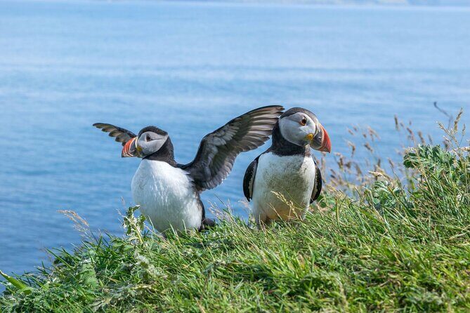 1-Day Moray Coast Tour with Speyside Whisky from Inverness - What Makes This Tour Stand Out?