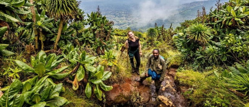 1-Day Mount Bisoke Hiking Adventure - Authentic Customer Insights