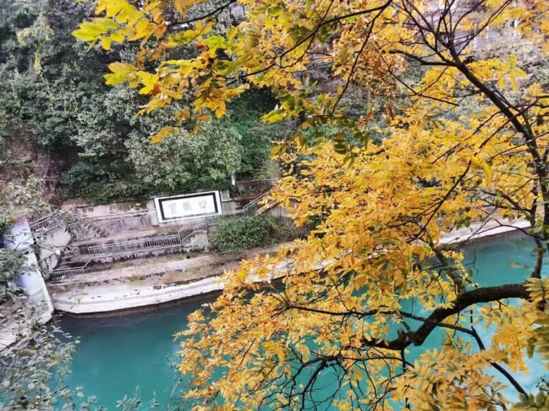 1-Day Mount Qingcheng and Dujiangyan Irrigation System Tour - Key Points