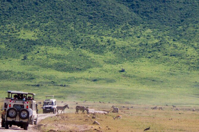 1 Day Ngorongoro Crater Group Jioning Safari - Who Is This Tour Best For?