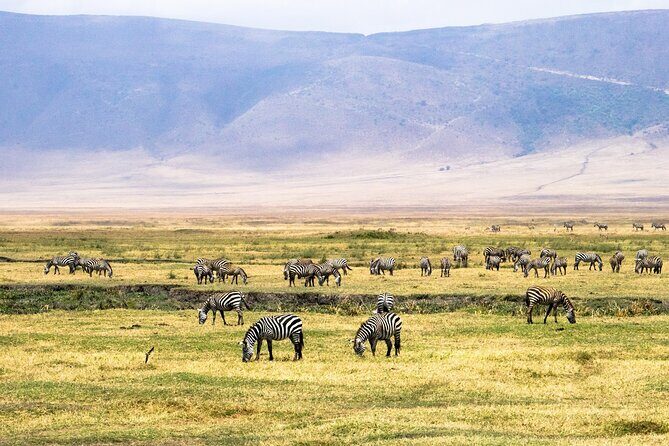 1 Day Ngorongoro Crater Group Jioning Safari - Final Thoughts