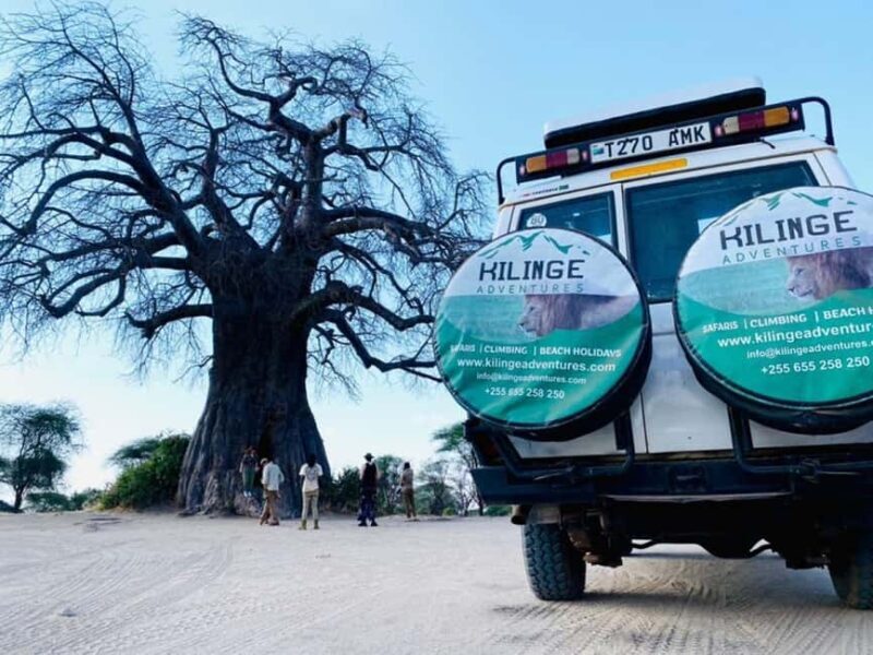 1-Day Ngorongoro Crater Special Big 5- Joining Group Safari - Why This Tour Stands Out