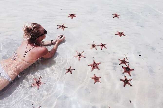 1-Day Northern Islands & Kayak Experience Tour - Key Points