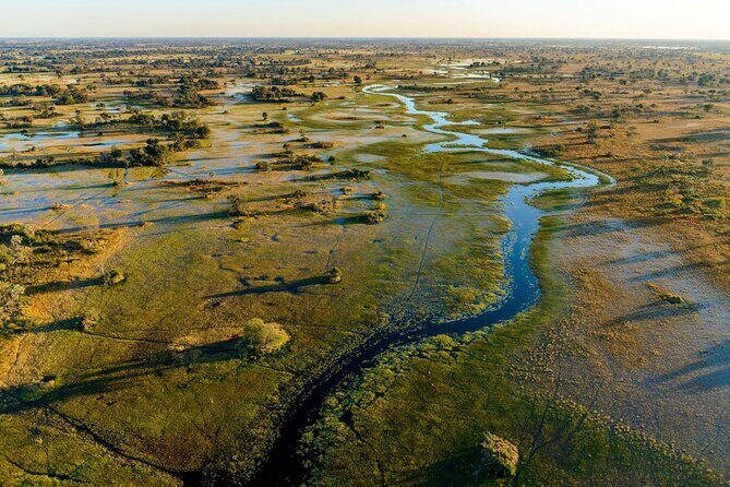 1 Day Okavango Delta Mokoro/Canoe Daytrip - A Full-Day Adventure in the Okavango Delta: Mokoro/Canoe Daytrip Review