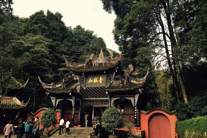 1-Day Panda Base and Mount Qingcheng Private tour from Chengdu - Key Points