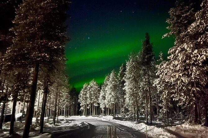 1 Day Pass Lapland Winter Park in Rovaniemi - Final Thoughts