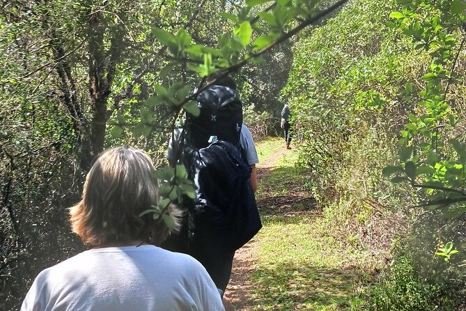 1-day-pilgrimage-experience-to-fatima