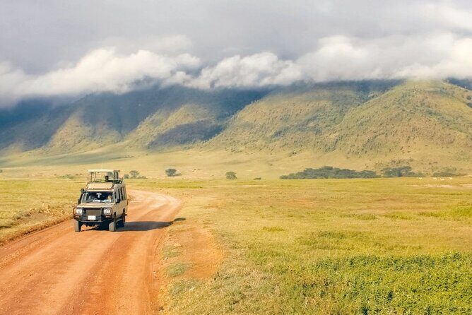 1 Day Private Ngorongoro Crater Safari - Why We Think This Tour Is a Great Choice