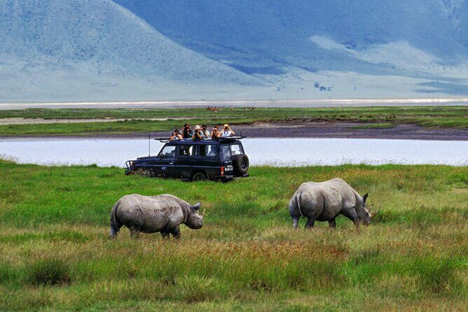 1 Day Private Ngorongoro Crater Safari - Transportation and Group Size