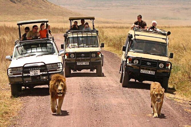 1 Day Private Ngorongoro Crater Safari - Considerations and Tips