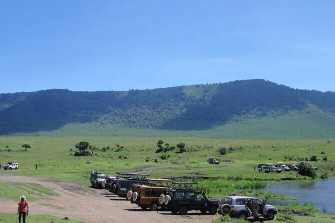 1 Day Private Ngorongoro Crater Safari - Final Thoughts