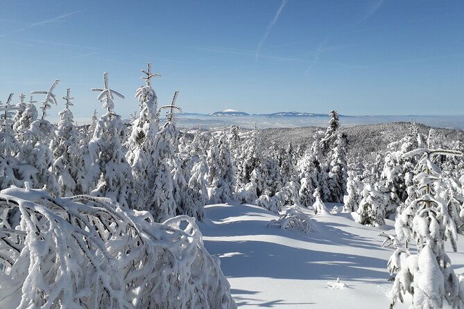 1-day-private-snowshoe-hike-in-the-gorce-mountains-near-krakow
