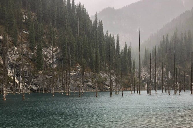 1 Day Private Tour to Charyn Canyon, Kolsay and Kaiyndy - A Closer Look at the Itinerary