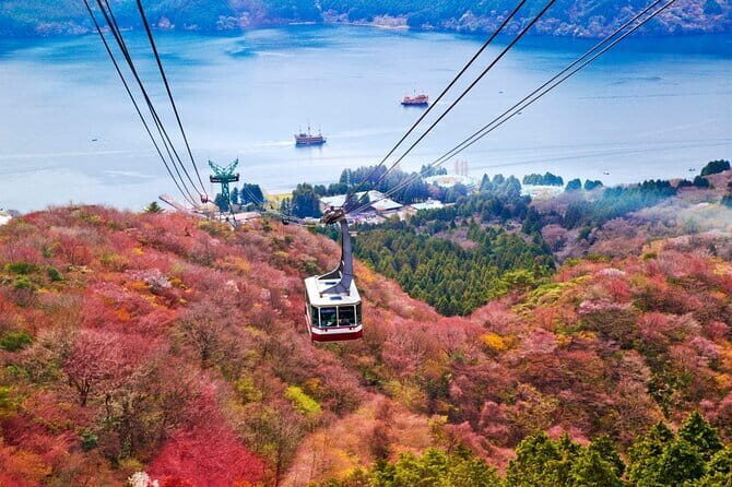 1 Day Private Tour to Hakone-Gotemba With English Speaking Driver - Frequently Asked Questions (FAQs)