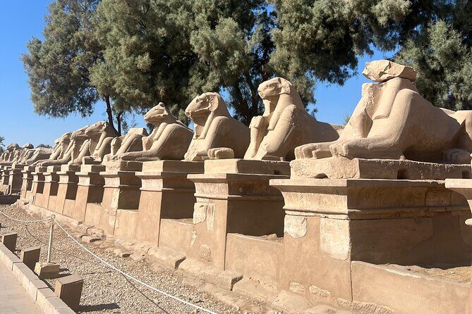 1 Day Private Tour with Hot Air Balloon from Luxor - FAQ