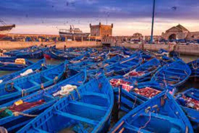 1 day Private trip from Marrakech to Essaouira - Practical Considerations