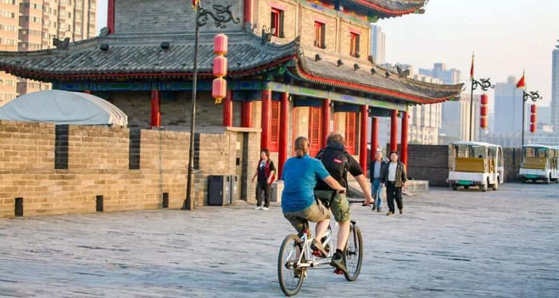 1-Day Private Xi'an Tour: Terracotta Warriors & City Wall - Who This Tour Is Best For