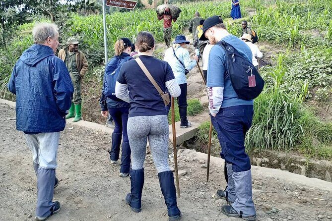 1 Day Rwanda Gorilla Trekking Tour - Key Points
