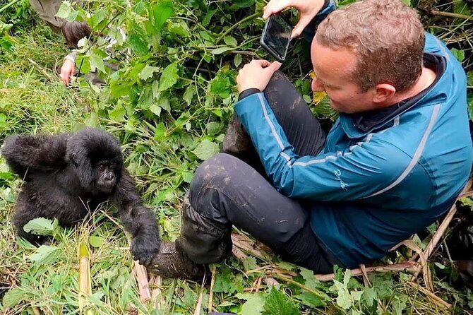 1 Day Rwanda Gorilla Trekking Tour In The Volcanoes National Park - Exploring the Itinerary