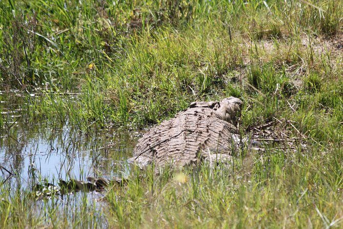 1 Day Safari to Akagera national park-Big5 Safari - The Full Itinerary Breakdown