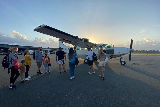 1 Day Safari to Mikumi National park from Zanzibar by flight - Who This Tour Is Best For