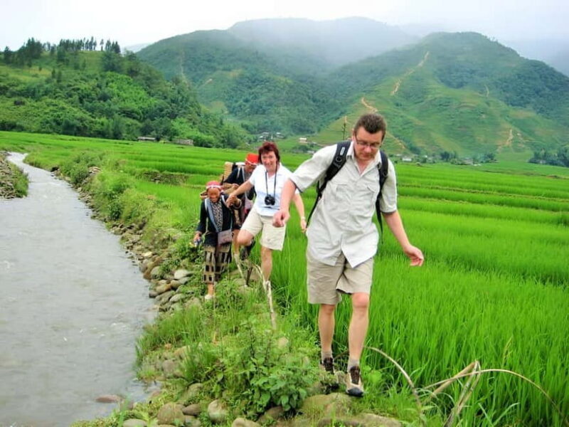 1-Day Sapa Long Trek - Rice Field Terrace, Ethnic Culture - Key Points