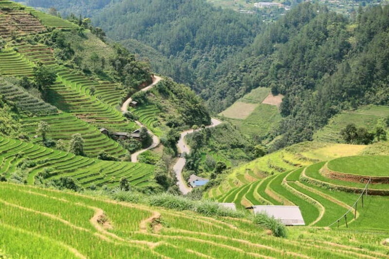 1-Day Sapa Long Trek - Rice Field Terrace, Ethnic Culture - Who Will Love This Tour?