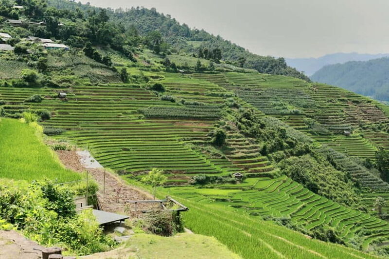 1-Day Sapa Long Trek - Rice Field Terrace, Ethnic Culture - Summary