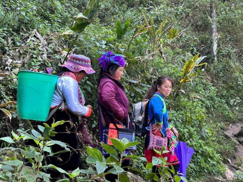 1 Day Sapa Trek&Home-cooked Lunch HmongSisterHouse&Trekking - Final Thoughts