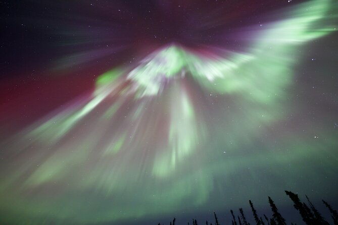 1-day-shared-tour-arctic-circle-and-aurora-viewing-in-alaska
