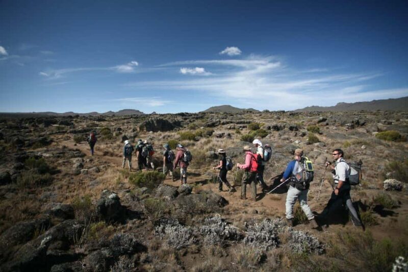 1-Day Shira Plateau-Kilimanjaro Hiking - Authentic Experiences and Practical Tips