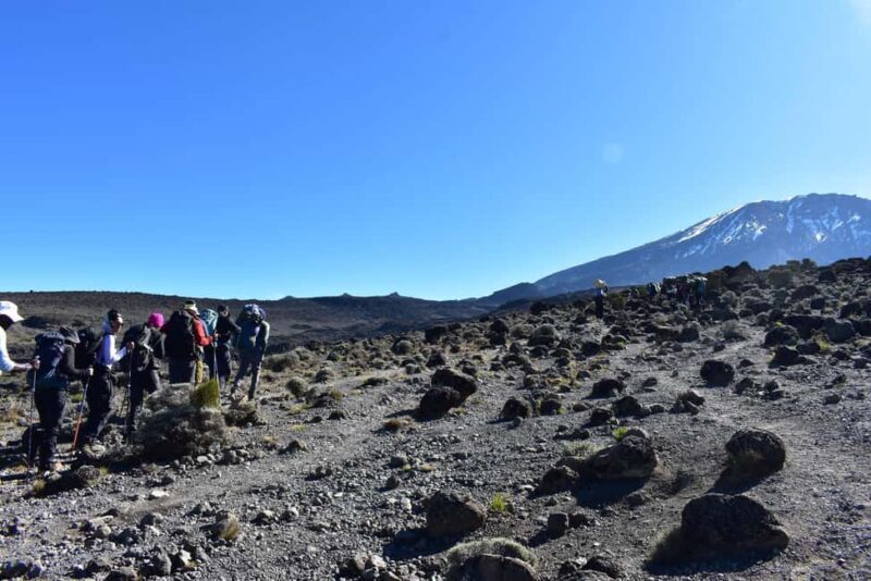 1-Day Shira Plateau, Kilimanjaro Hiking - Key Points  