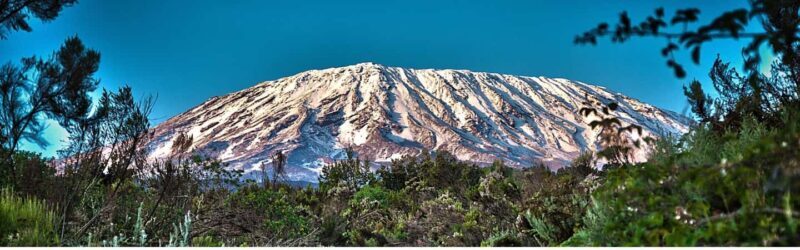 1-Day Shira Plateau, Kilimanjaro Hiking - The Itinerary Breakdown: What to Expect at Each Step