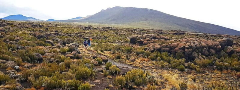 1-Day Shira Plateau, Kilimanjaro Hiking - How the Experience Comes to Life